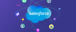 Virtual Assistant With Salesforce